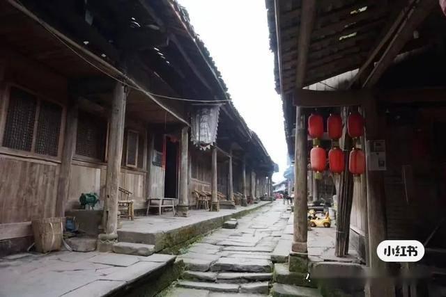 动物帮帮忙保卫家园
